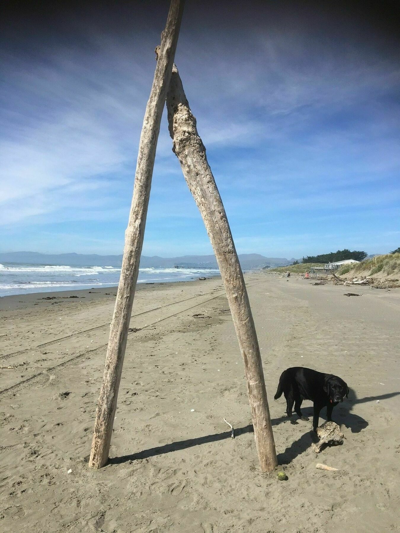 Sandy Feet Accommodation Christchurch Esterno foto